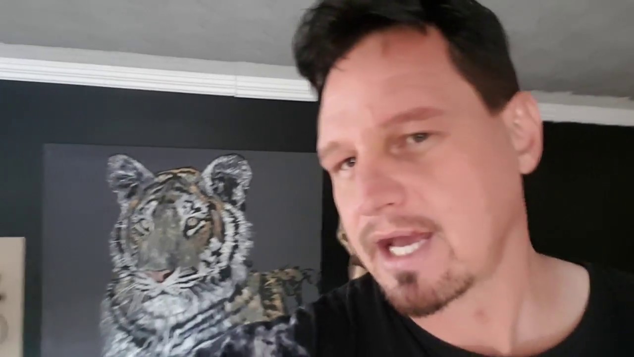 1280x720 Answering Questions About The Ozzy Painting - Ozzy Painting