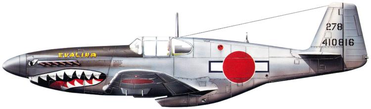 750x221 Skin Request Japanese Captured P 51 - P51 Mustang Painting