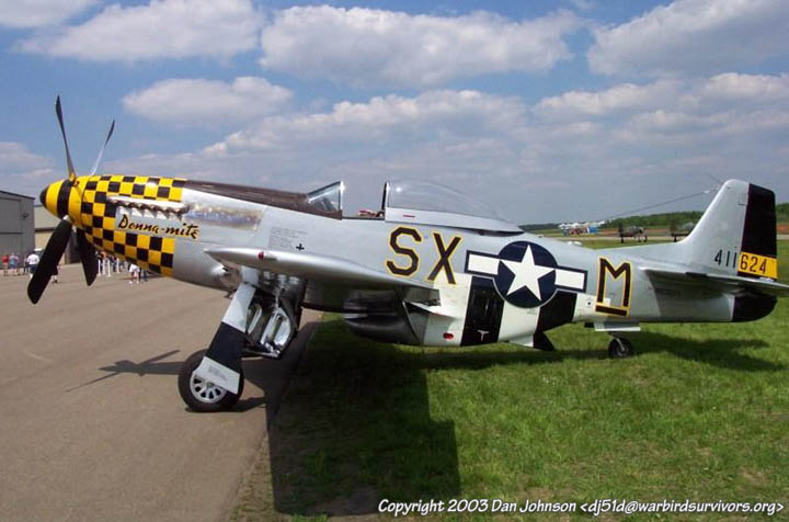 720x476 Warbird Registry - P51 Mustang Painting