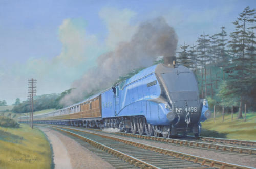 500x331 Rail Art - Pacific Western Painting