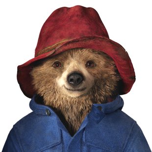 310x310 Paddington Bear Wall Art Wayfair - Paddington Bear Painting