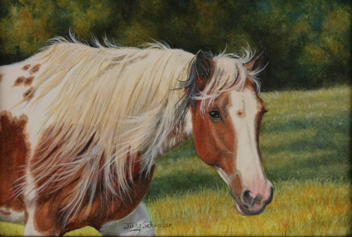 500x337 Horse Painting, Miniature Painting Of A Registered Paint Horse By - Paint Horse Painting