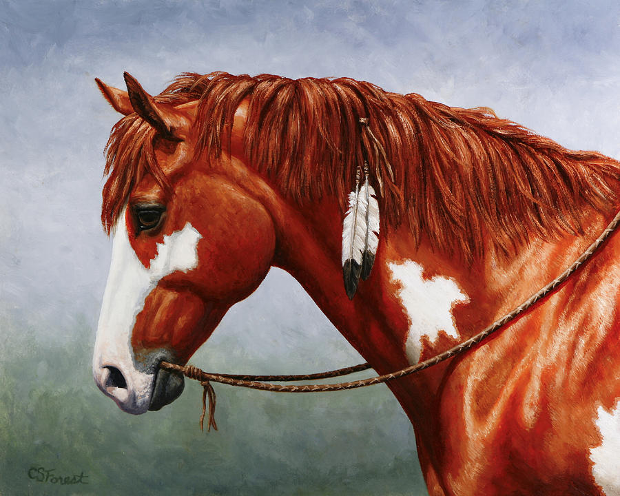 900x720 Native American Pinto Horse Painting By Crista Forest - Paint Horse Painting