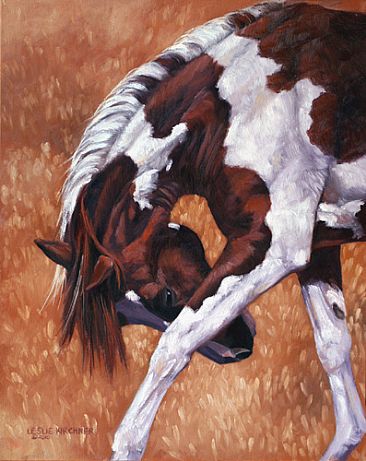 366x461 Paint Horse - Paint Horse Painting
