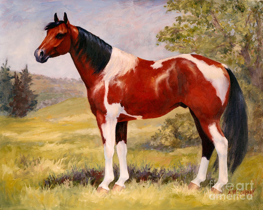 900x720 Paint Horse Gelding Portrait Oil Painting - Paint Horse Painting
