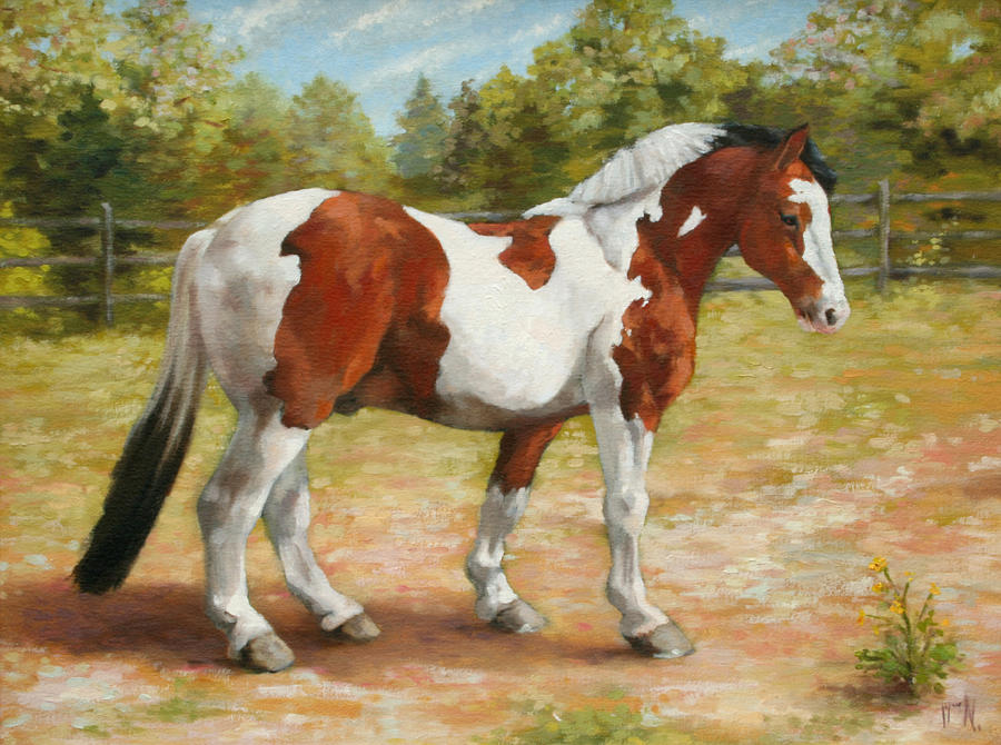 900x670 Paint Horse Painting By William Noonan - Paint Horse Painting