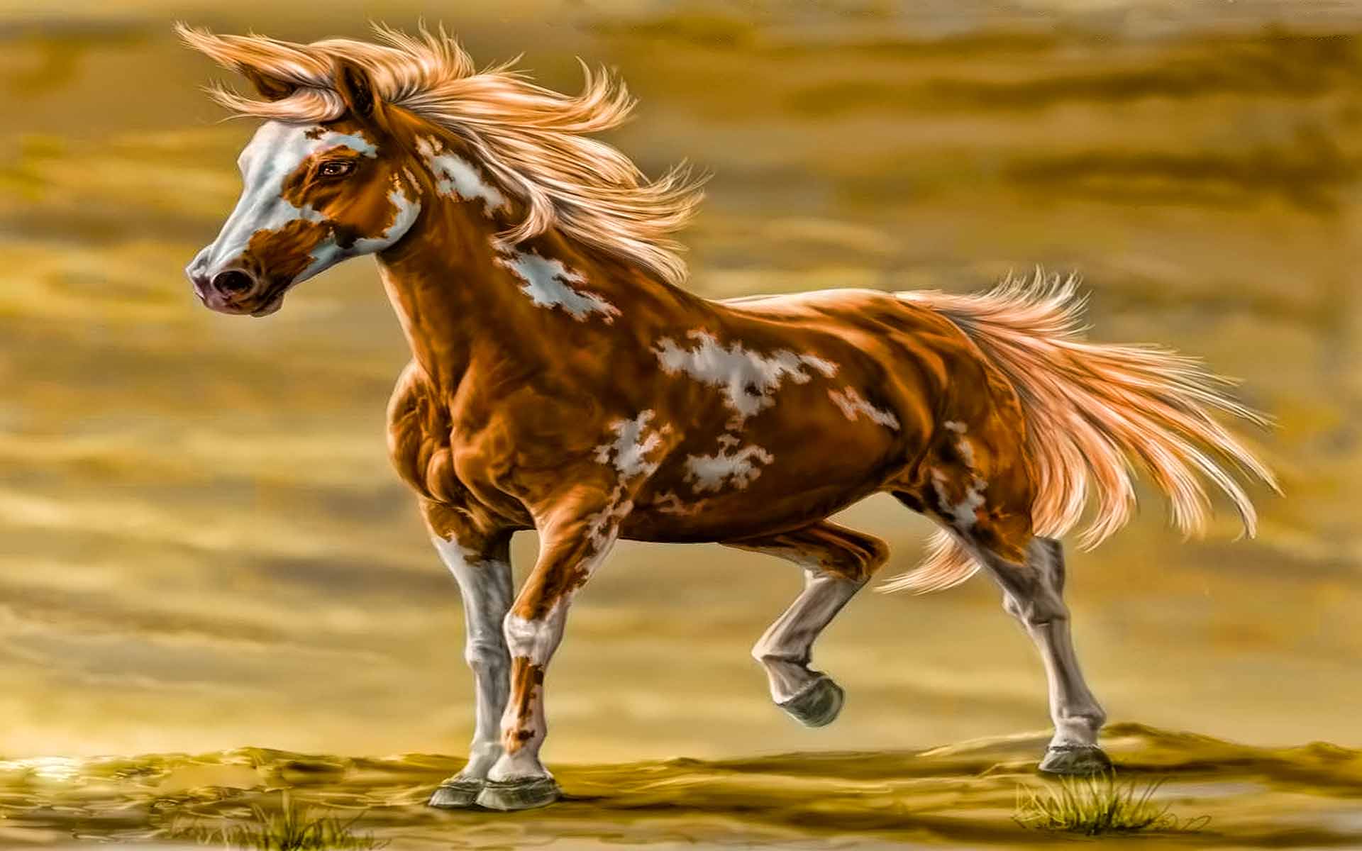 1920x1200 Paint Horse Wallpapers - Paint Horse Painting