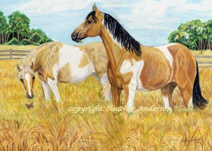 415x296 Paint Horse Original Painting Paint Horse Mares - Paint Horse Painting