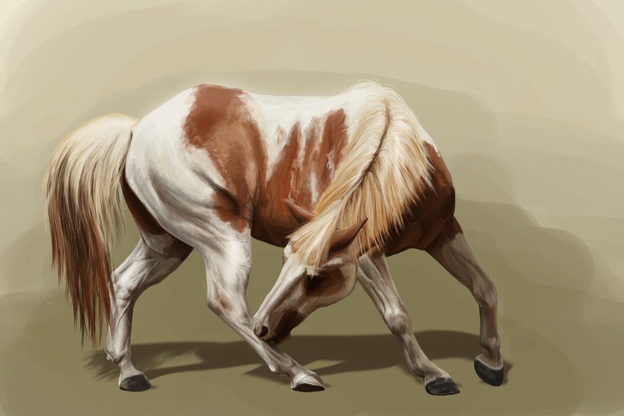 900x600 Painted Myself A Paint Horse By Apfelgriebs - Paint Horse Painting