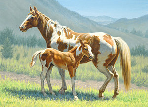 300x218 Valley Paints Painting By Paul Krapf - Paint Horse Painting