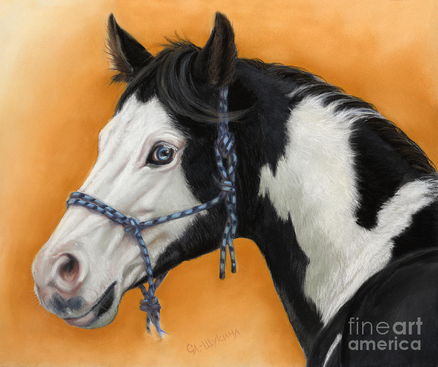 900x755 American Paint Horse - Paint Horse Painting