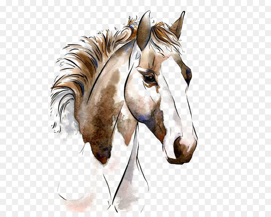 900x720 American Paint Horse Watercolor Painting Horses In Art - Paint Horse Painting