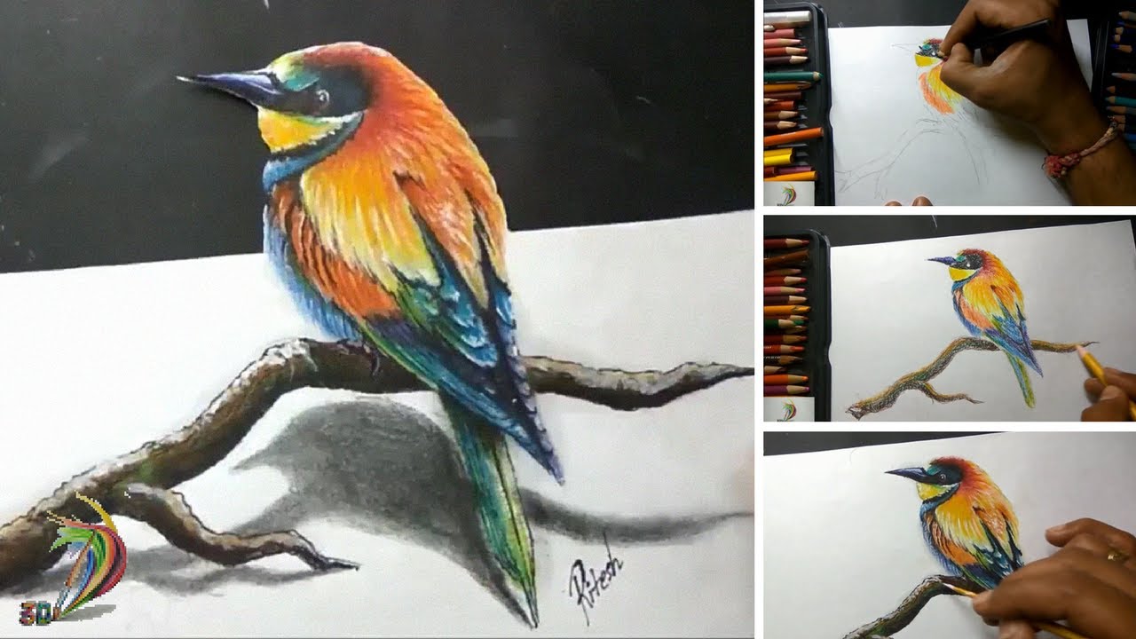 1280x720 Realistic Drawing Of Rainbow Bird ( Time Lapse ) - Painting 4 You