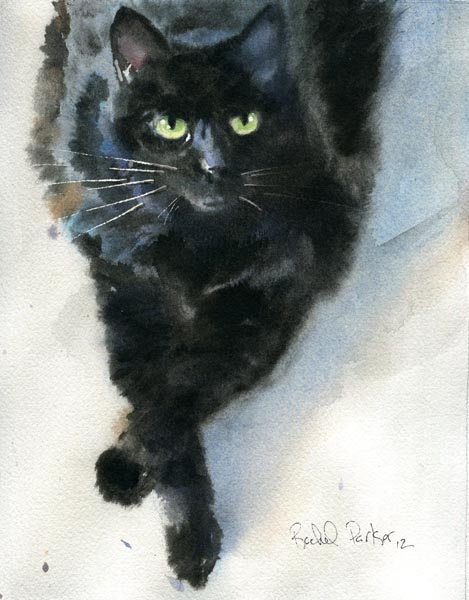 469x600 Rachel's Studio Blog Watercolor Painting Of A Black Cat - Painting A Black Cat