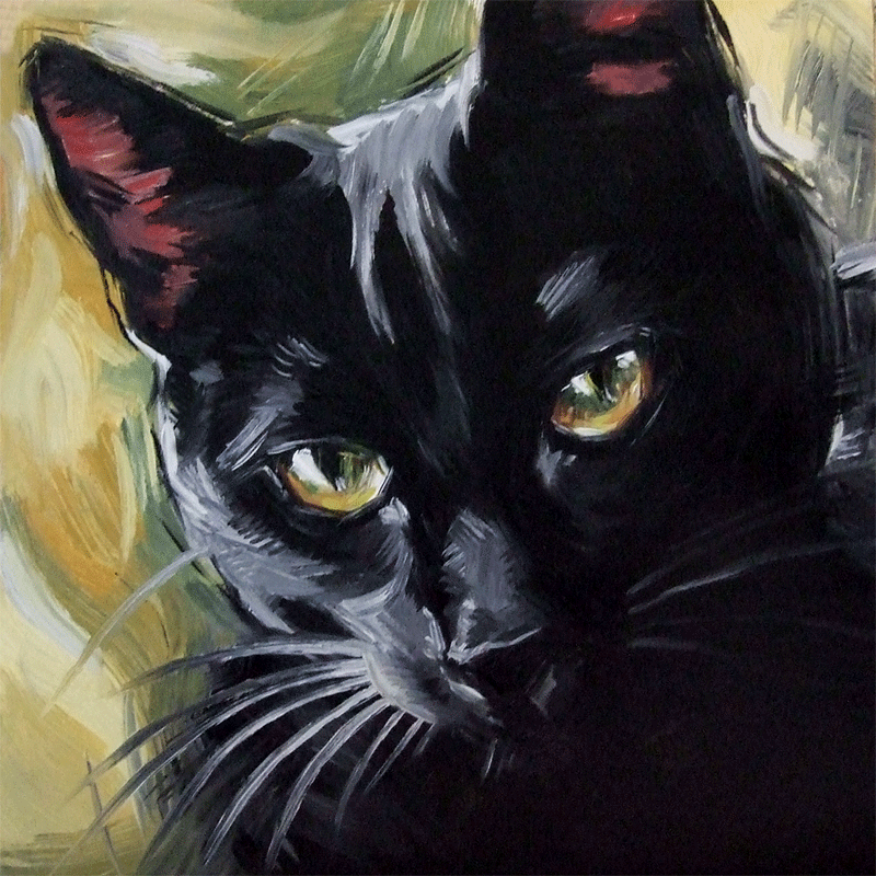 800x800 The Witch's Cat. Original Oil Painting Of A Black Cat By Diane - Painting A Black Cat
