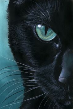 236x349 How To Paint A Black Sitting Cat - Painting A Black Cat