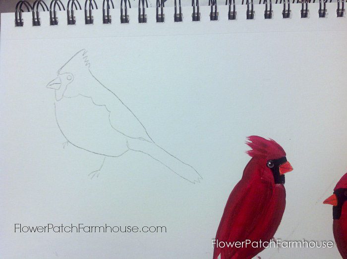 700x523 How To Paint A Cardinal Bird - Painting A Cardinal
