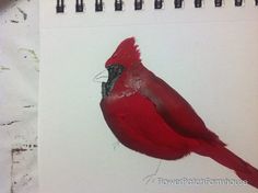 236x176 How To Paint A Cardinal Bird Cardinals, Tutorials And Bird - Painting A Cardinal