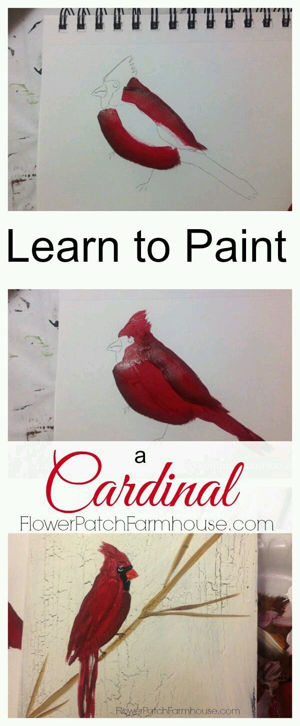 600x1448 Painting Cardinal Art Cardinals, Paintings And Craft - Painting A Cardinal