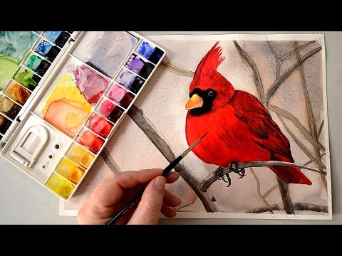 480x360 Watercolour Painting Of A Cardinal Bird From Paint My Photo - Painting A Cardinal