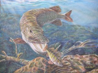 320x240 Charles Weiss Art The Fishes Of Toronto Muskie And Northern - Painting A Northern Pike