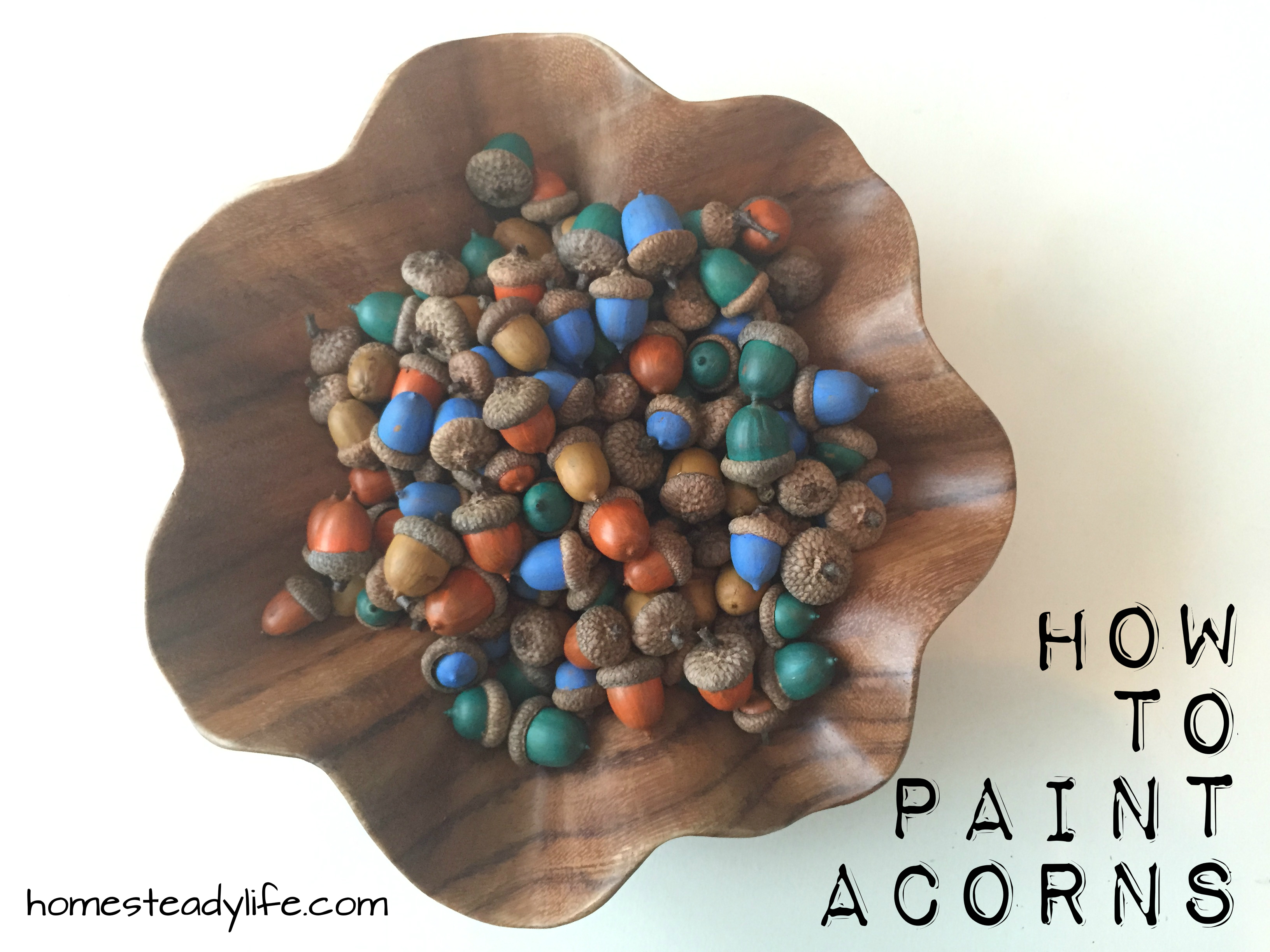 3264x2448 Diy How To Paint Acorns My Autumn Table Centerpiece Homesteady - Painting Acorns