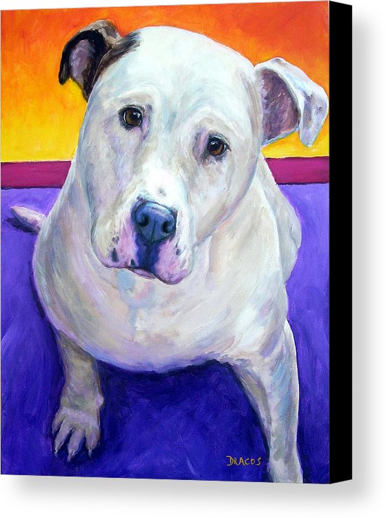559x750 American Bulldog Looking Up Canvas Print Canvas Art By Dottie Dracos - Painting American Bulldog