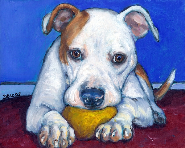 600x480 American Bulldog With Yellow Ball Painting By Dottie Dracos - Painting American Bulldog