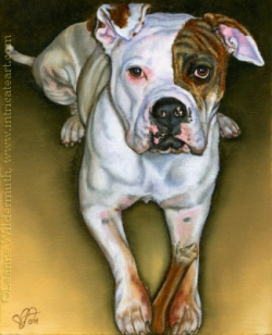 250x308 Leanne Wildermuth Artist By Nature Dog Portrait Sheba - Painting American Bulldog
