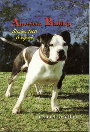 300x441 The Original American Bulldog - Painting American Bulldog