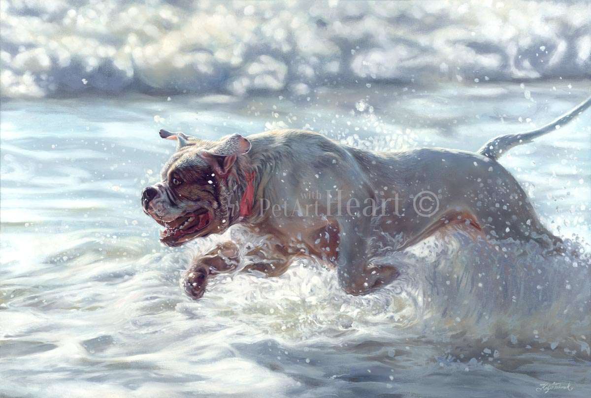 1200x809 Tigerbull Oil Painting Of American Bulldog Running In Water - Painting American Bulldog