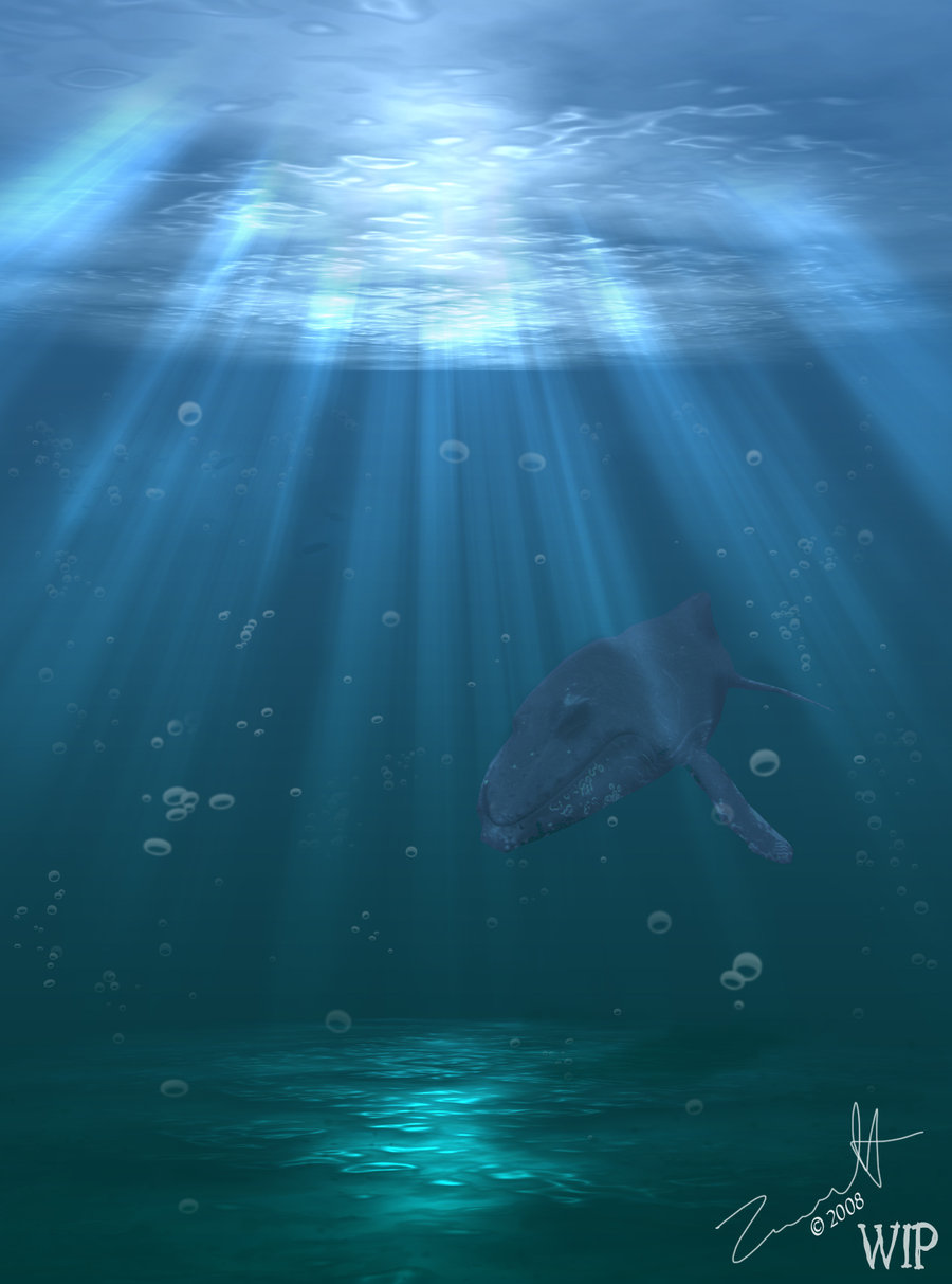 900x1213 Underwater Scene Whale W.i.p. By Snapesimp - Painting An Underwater Scene