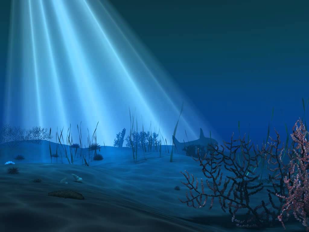 1024x768 Underwater Scene Using Paint Effects In Autodesk Maya - Painting An Underwater Scene