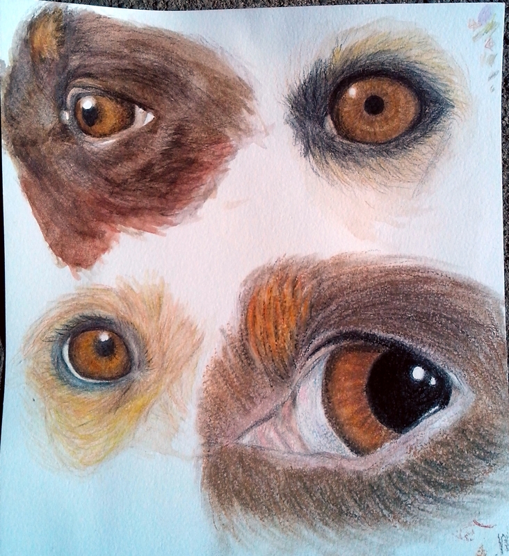 732x800 April Classroom - Painting Animal Eyes