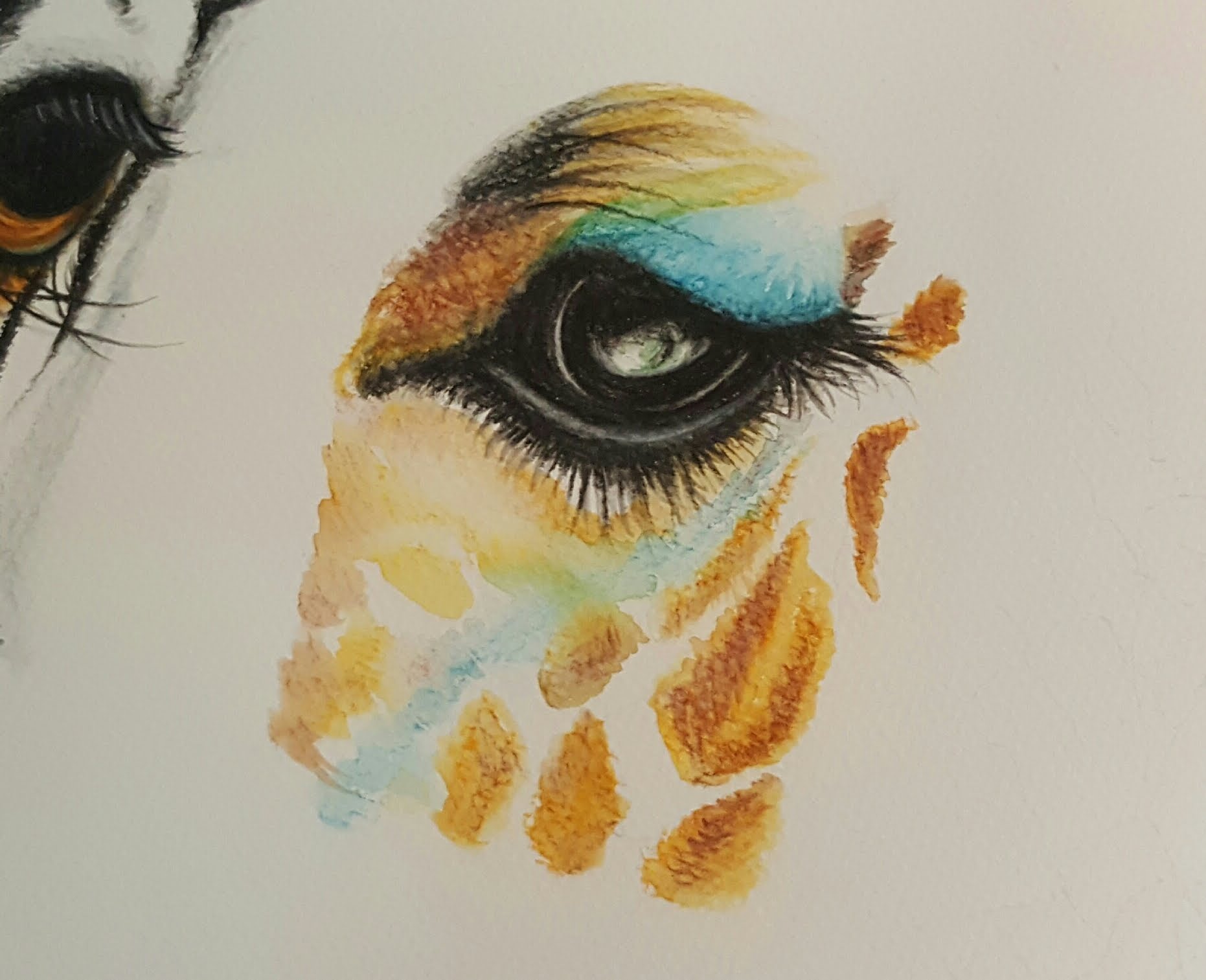 1862x1513 Drawing A Giraffe Eye With Watercolor Pencils How To Draw - Painting Animal Eyes