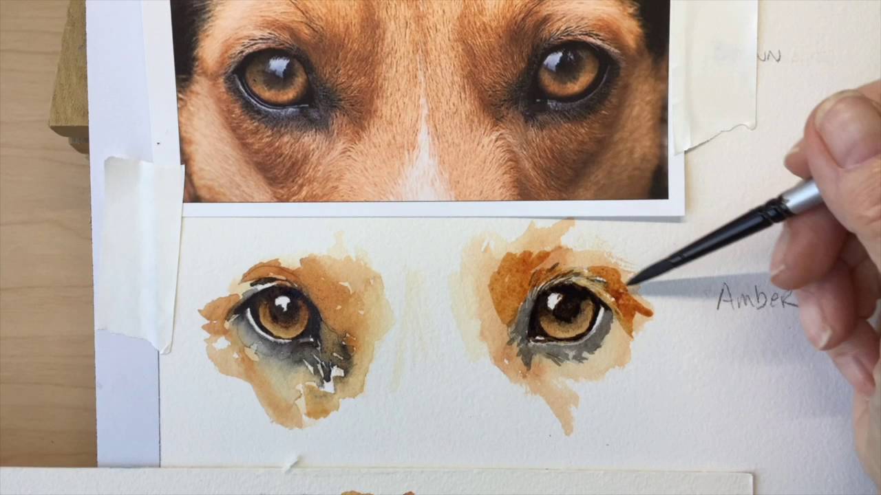 1280x720 How To Paint A Dog's Amber Eyes - Painting Animal Eyes