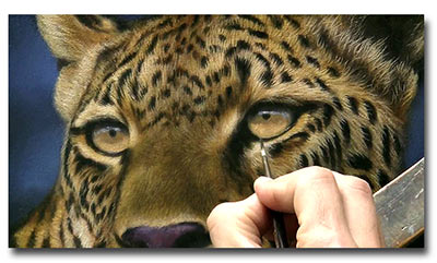 400x241 Wildlife Art Videos - Painting Animal Eyes