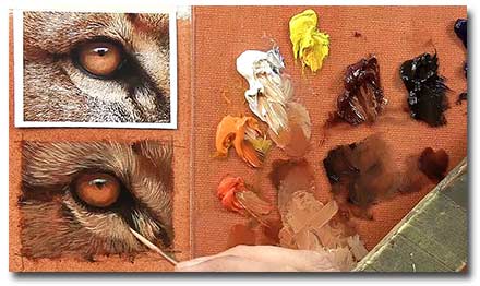 440x262 Willdife Art Dvds - Painting Animal Eyes