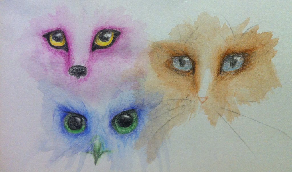 1024x605 Animal Eyes By Calycia - Painting Animal Eyes