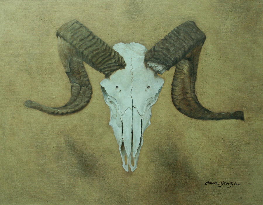 900x702 Merino Ram Painting By Omar Garza - Painting Animal Skulls