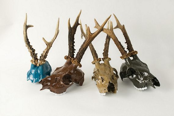 570x379 Painted Animal Skulls Manly Can Be Pretty, Too - Painting Animal Skulls