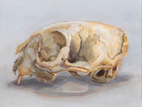 480x360 Painting An Animal Skull (Narrated) - Painting Animal Skulls