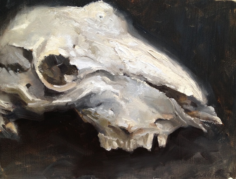 800x608 Animal Skull (Xpost Oil Painting) - Painting Animal Skulls