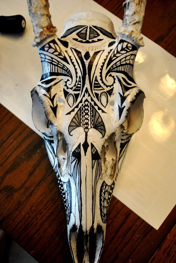 731x1092 Painted Animal Skull - Painting Animal Skulls