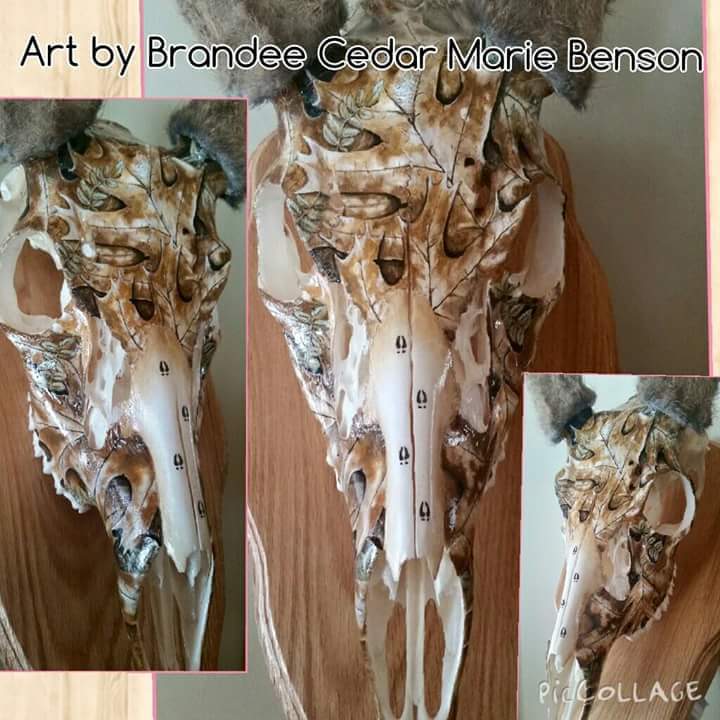 720x720 Animal Skull Artist Brandee Cedar Marie Benson Painted Skulls - Painting Animal Skulls