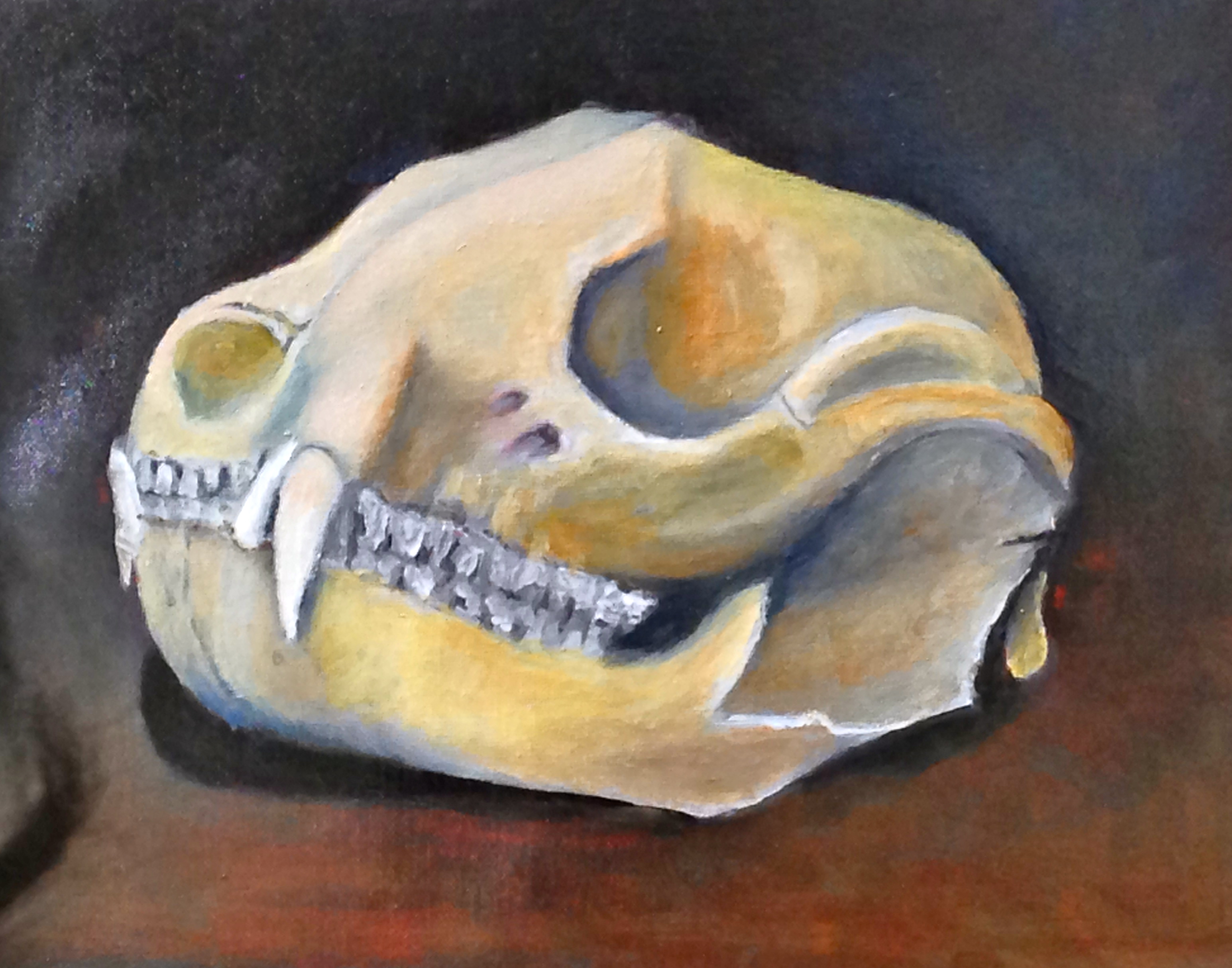 3091x2430 Animal Skull Tucson Classical Atelier - Painting Animal Skulls