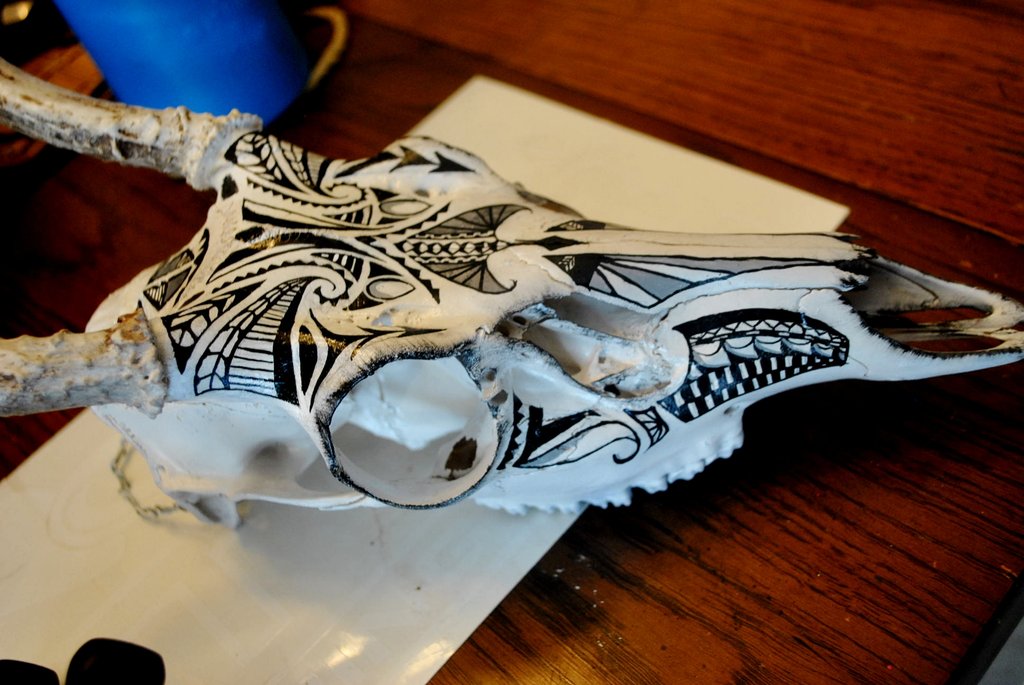 1024x685 Buck Skull Paint 2 By Soulstrifer - Painting Animal Skulls