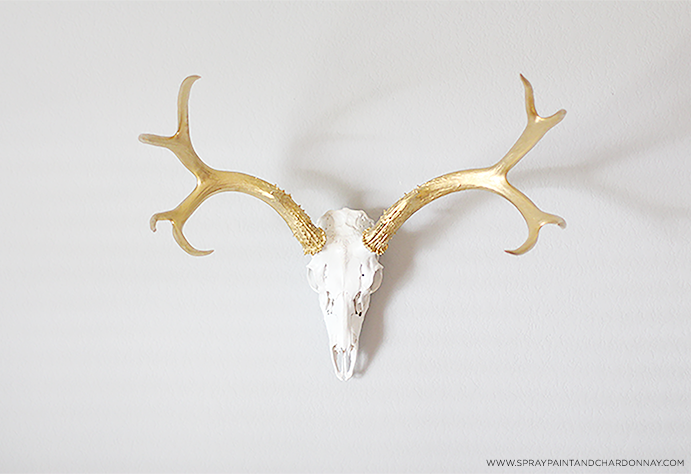 691x474 My Favorite Gold Spray Paints Spray Paint Amp Chardonnay - Painting Antlers