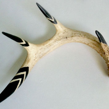 354x354 Shop Painted Deer Antlers On Wanelo - Painting Antlers