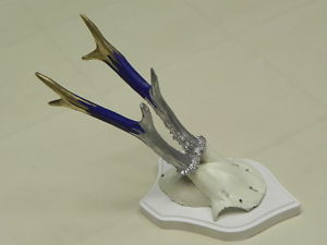 300x225 Roe Deer Antlers Colour Unique Stylish Painting New Fashion Gift - Painting Antlers